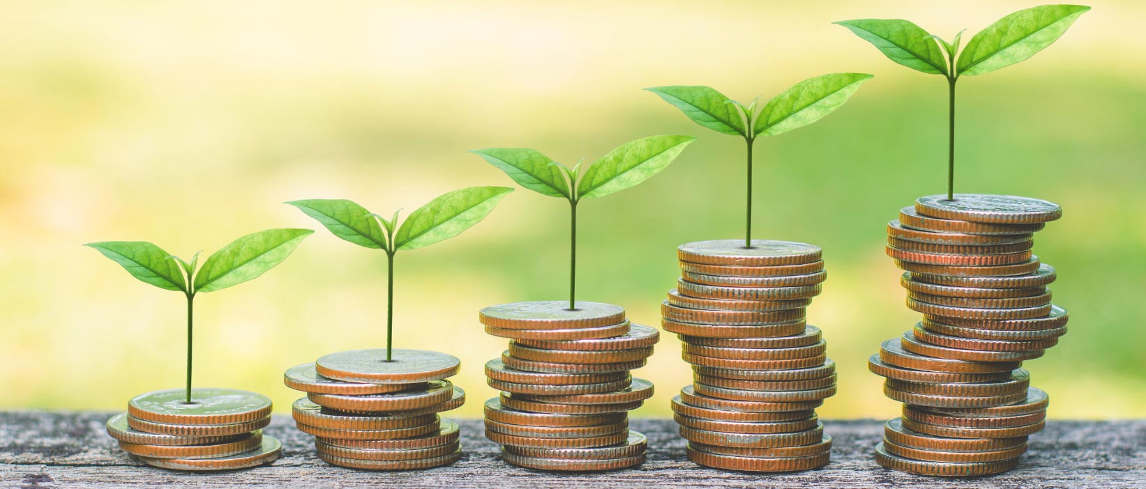 The Benefits of Sustainable & Ethical Investing
