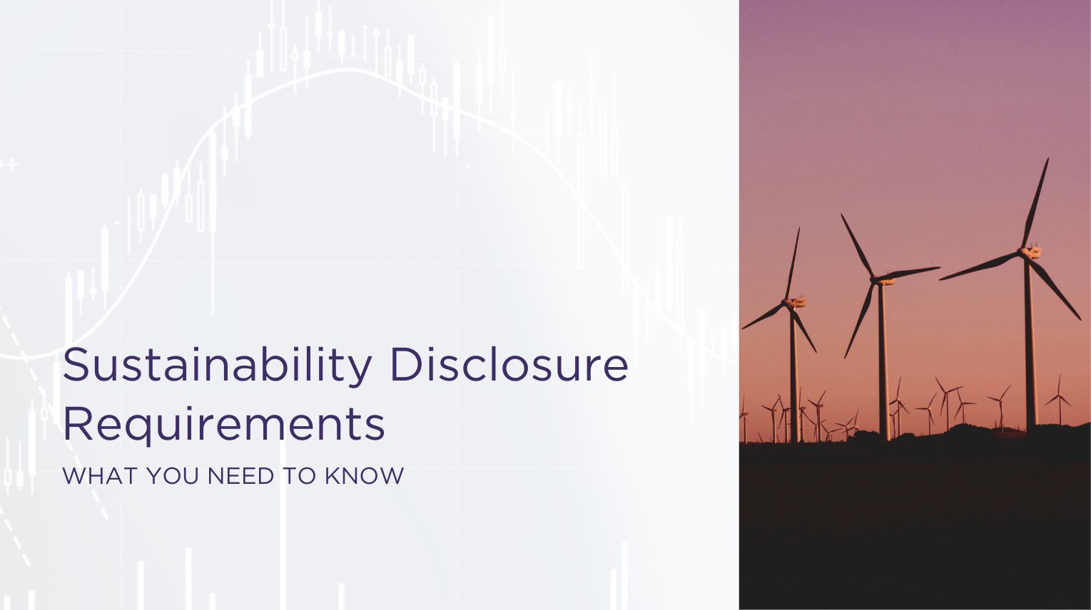 Sustainability Disclosure Requirements: What You Need to Know